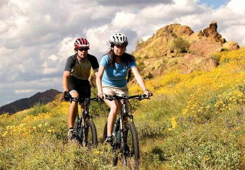 Courtyard By Marriott Phoenix Mesa Eksteriør billede